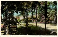 Perpignan - Ses Jardins - Ses Plamiers CPA 
