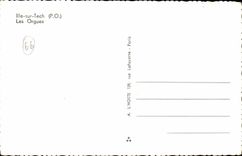 Island of Tech - Organ - CPA