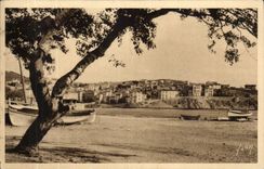 Banyuls on Sea - a Corner of Park - CPA