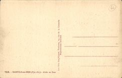 Banyuls on Sea - Aoes in flower - CPA