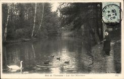 Wood of Vincennes CPA Lake of the Tiny ones