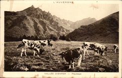 CPA Auvergne Valley of hell Landscape (cows)
