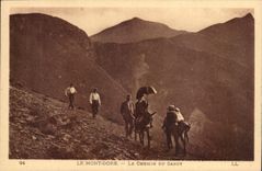 CPA Auvergne the mount Gilds the way of Sancy (ass donkey)