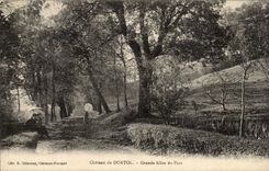 CPA Large Auvergne Castle of Durtol gone of the park