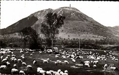 Auvergne CPA Pastures with the foot of Puy de Dome (sheep)