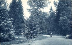 Bourboule - Park Fenestrates - CPA