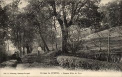 Chateau de Durtol - Grande Allee du parc - CPA 