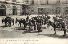 The Mount Gilds CPA the place Michel Bertrand (ass donkey mule) TOP