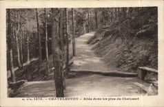 Chatelguyon - Allee in mehr von Chalusset - CPA