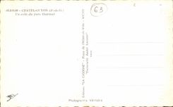 Chatelguyon - Chatel - Guyon - eine Ecke des Park-Thermal - CPA