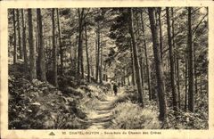 Chatelguyon - Chatel Guyon - unter Holz der Weise der Spitzen - CPA