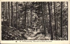 chatel Guyon CPA unter Holz der Weise der Spitzen