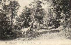 Houlgate CPA a corner of the wood of Boulogne (horse and man)