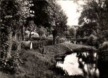 Saint stones on Divine MODERN CARD Bridge on the Divine ones