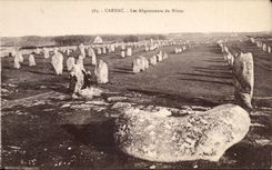 Carnac - Les Alignements du Menec - CPA 
