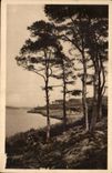 Morlaix - La Douc France - La Riviere Dossen - CPA 