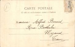 Standard Arles CPA of arlesiennes Under Treillised vineyard TO%P