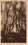 Toulouse CPA Sous bois du jardin des plantes