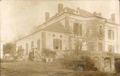 Real photo House dogs (folklore costumes)