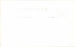 Real photo East cliff Putaiho cliff