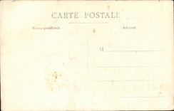 Real photo Book and weapons (heraldric tiger cat)