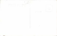 Real photo Trees (the United States)