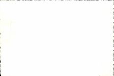 Real photo Militaria Soldiers