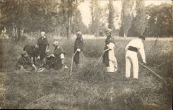 Real photo Africulture Ass donkey mule Mowing