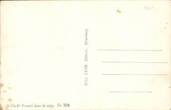 Felix Luib Strasbourg Editor - Schlucht in snow - CPA