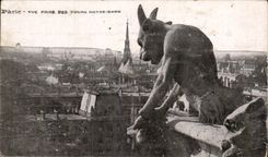 Paris CPA Vue prise des tours Notre DAme