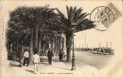 Allgemeiner Garten Algerien-Algiers CPA Bresson