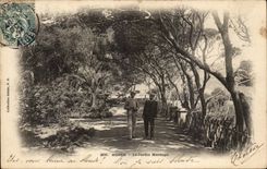 Algerien Algiers CPA der Garten Marengo