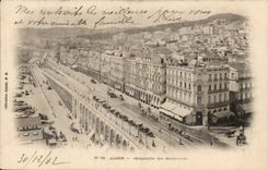 Algerien-Perspektive Algiers CPA der Prachtstrassen