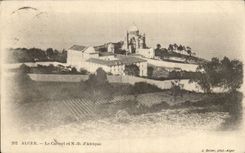 Algerien Algiers CPA das carmel und das Nd von Afrika