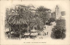 Palmen Algerien-Algiers CPA der Regentschaft