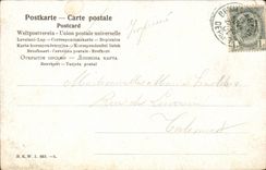 Belgie Belgique CPA Couple