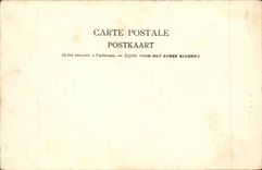 Belgie Belgien CPA Luttich mit der Brucke der Bogen der Stier (Stierplanierraupe)