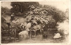 CPA Maytime vaches Basel Bradley