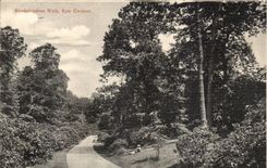 Der Garten Konigreich-Grossbritannien CPA Kew (tropische Garten) Rhododendronweg