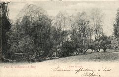 CPA Park of Villeneuve the pond the tree courche