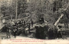 Vincennes CPA Cyclone of the Allee June 16th 1908 of the river These giants of the drill were mowings by the gust (children)