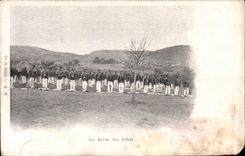 Real photo Militaria Regiment the review of the effects