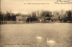 Flers - Large Pond of Hotl de Vile - swans - swan - CPA
