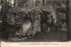 Fontainebleau - the Drill - the Elephant of Apremont - CPA