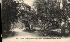 Drill of Fontainebleau - revolving Road heights of Sulle - CPA