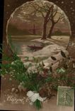 Fete - Bonne Annee - Vrai fleurs seches - 1917 - CPA 