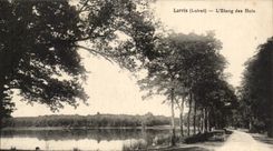 Lorris CPA the pond of wood