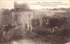 CPA Chateau de Tonquedec La tour isolee et les ruines vue prise du donjon Environs de Lannion