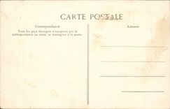 Panoramische Ansicht Robinson-CPA des zutreffenden Baums