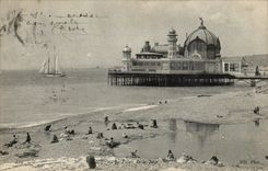 Nettes CPA der Gaumen des Piers (Lavendelfelder)